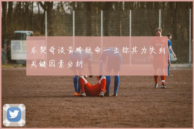 东契奇谈黄蜂致命一击称其为失利关键因素分析